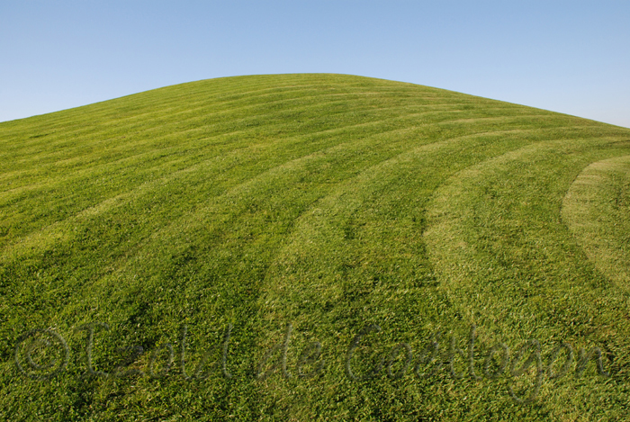 photo de pelouse &agrave; Biscarosse