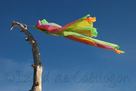 photo de manchon au vent