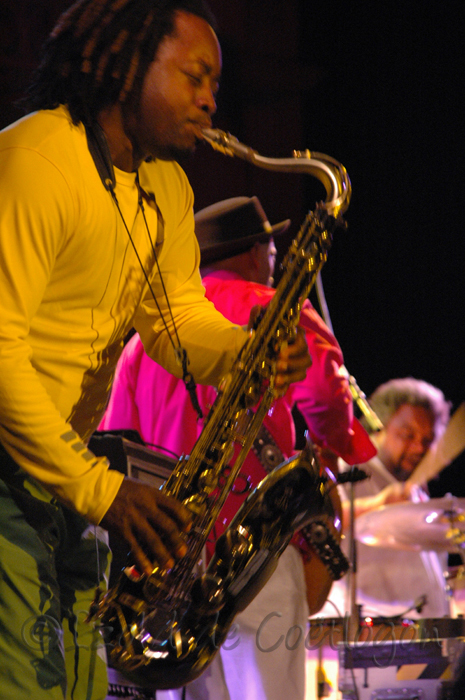 photo de concert de Marcus Miller