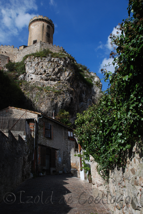 photo du ch&acirc;teau de foix