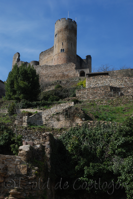 photo du ch&acirc;teau de Najac
