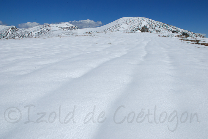 pic de bacan&egrave;re