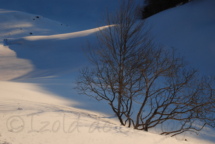 photo des pyr&eacute;n&eacute;es,  neige