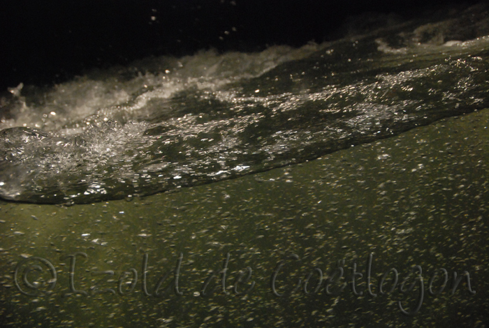 photo de la passe &agrave; poissons, Toulouse