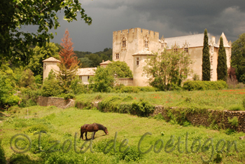 photo du château d'Allemagne-en-Provence