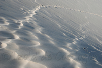 photo de la dune du Pyla