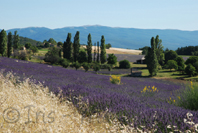 photo de Provence